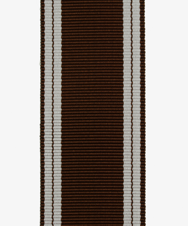 German Reich, service awards of the NSDAP in bronze (64)